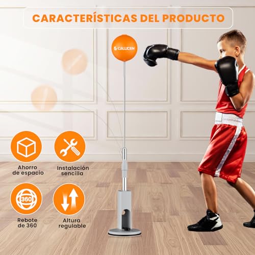 Box Y Croscita, Sports Imagen adicional