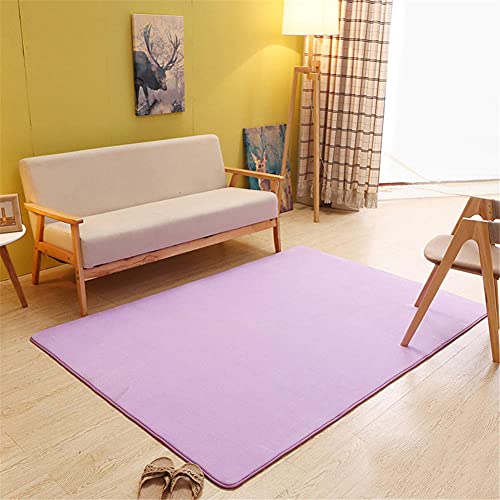Alfombra de terciopelo coral morado claro, alfombra de espuma viscoelástica suave y esponjosa para sala de estar, yoga, antideslizante, lavable, absorbe el agua, diseño moderno, 160 x 230 cm