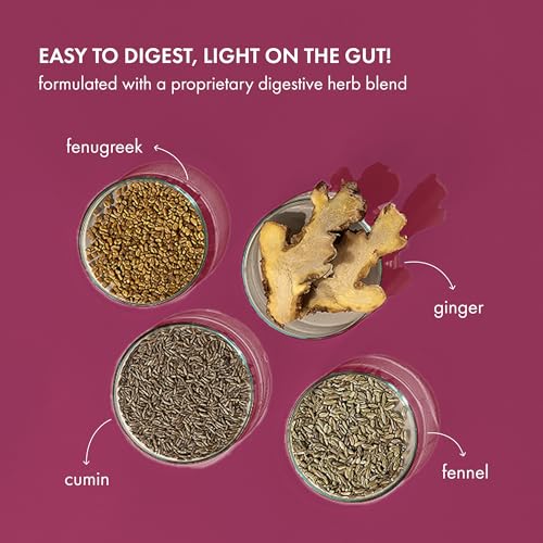 Image of Cosmix No-Nonsense Plant Protein Pro | 24g Plant Protein /Serve | Mahabaleshwar Strawberry | Clean Vegan Yeast Protein | Gut-Friendly | Easy to Digest | All Essential Amino Acids | Made with Real Mahabaleshwar Strawberries | 500gm