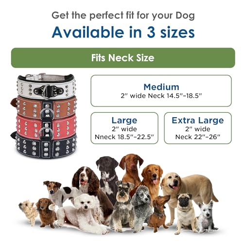 Collar de cuero premium para perros medianos 2 pulgadas marrón miniatura 5