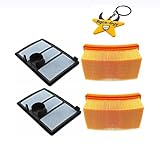 Race-Guy 2x Air Filter For Stihl TS700 TS800 4224-140-1801A 4224-141-0300 4224-141-0300A (2)