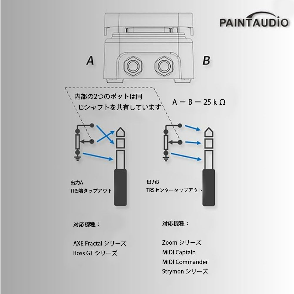 Amazon | 【国内正規品】PAINTAUDIO FOOT CAPTAIN SWM