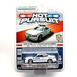2010 Dodge Charger / New York City Police Department ( Hot Pursuit Series 12)  2014 Greenlight Collectibles Limited Edition 1:64 Scale Vehicle Die-Cast