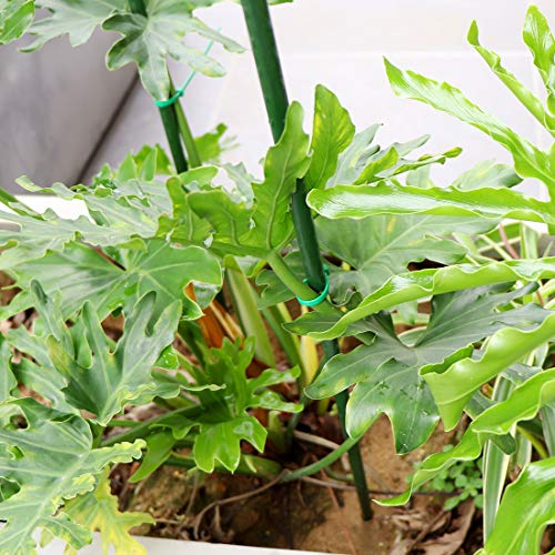 SEKKVY Garden Stakes 48 Inches Sturdy Plastic Coated Steel Plant Sticks Support for Securing Trees, Natural Climbing Plants, Shrubs (25 Pack - 48 Inches, Green) - Thumbnail 5
