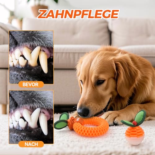 LIFLIX 2er-Set Zahnpflege-Spielzeug für Welpen, Langlebige TPU Biss und Bürste Hundespielzeug für Kleine & Mittlere Hunde, Dental Kauspielzeug für Zahnende Welpen
