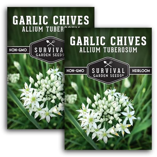 Survival Garden Seeds 2 Packs Garlic Chives Seed for Planting - Packet with Instructions to Grow Delicious Perennial Herbs in Your Home Vegetable Garden - Non-GMO Heirloom