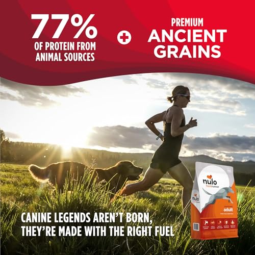 Image of Nulo Frontrunner Dry Dog Food - Adult High-Protein Turkey, Trout & Spelt Recipe, Natural Kibble with Ancient Grains, Probiotics, Taurine, Omega 3 for Small, Medium and Large Breeds, 25lb Bag