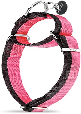 Dazzber Martingal Halsbänder für Mittel/Große Hunde 4cm Breites, Extra Starkes, Verstellbar, Hohe Farbechtheit- Nylon 2 Farbe Gestreift Weit Hundehalsband (Baby Rosa & Grau, Mittel
