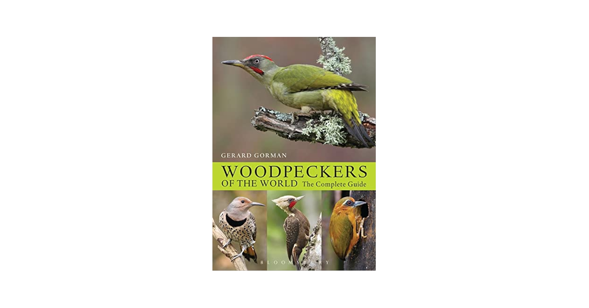 Woodpeckers of the World 世界のキツツキ図鑑　英語 Woodpeckers of the World 世界のキツツキ図鑑 英語-送料無料で