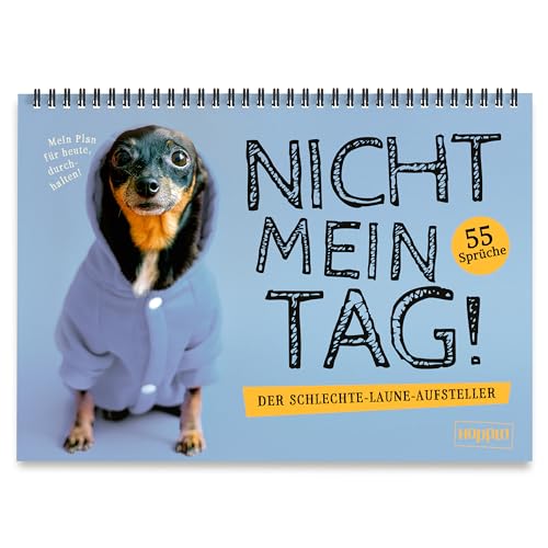 NICHT MEIN TAG! – Aufsteller mit witzigen 55 Sprüchen für einen schlechten Tag und Stimmung