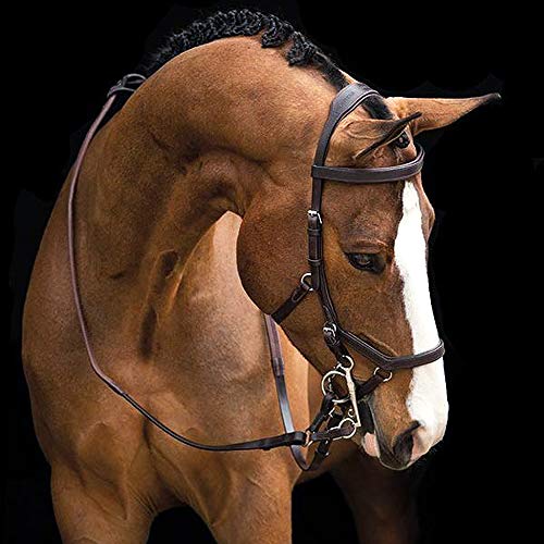 Best Rubber Reins