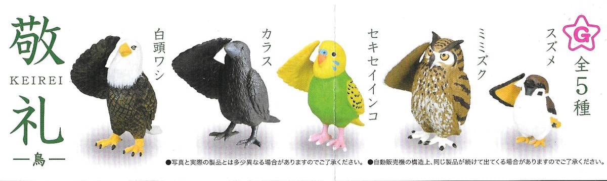 鳥類　2冊セット Amazon.co.jp: 》敬礼 -鳥-【全5種フルコンプセット】 ～ 未 白頭ワシ