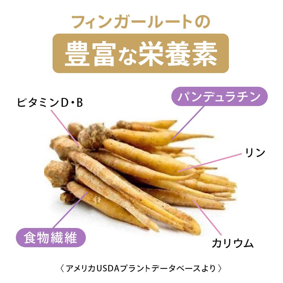 燃えるしょうがパワー フィンガールートカプセル180粒×5袋セット 健康 美容 Amazon.co.jp: フィンガールート抽出粉末 スティック 1.5g×30本 : 食品