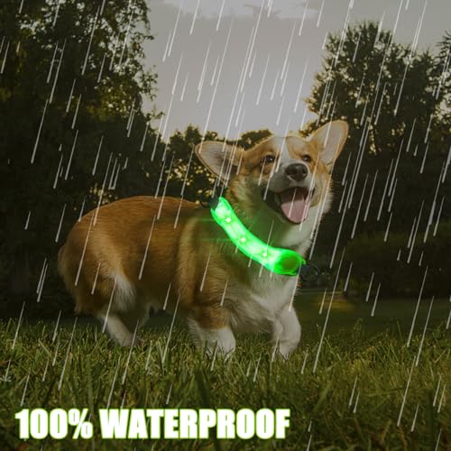 Funmo LED-Leuchtbänder für Haustiere, USB Aufladbar Sicherheits LED Leuchthalsband Hunde mit Klettverschluss, Einfach an Halsband Leine und Geschirr zu Befestigen, Wasserdicht LeuchtendNacht Outdoor