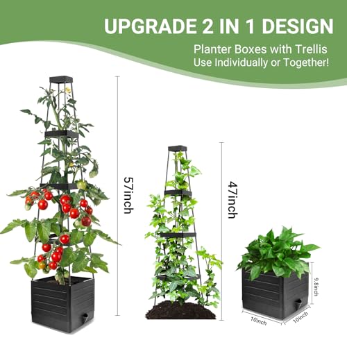 2 Pack Tomato Planter with Trellis 57 Inch, Raised Garden Bed Planter Boxes Self-Watering for Climbing Vegetable, Plants and Tomato Cages for Indoor Outdoor - Image 5