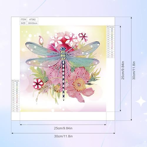 Image of AiYuanzsh 5D Special Shape Diamond Art Kits for Adults, Dragonfly Diamond Painting Kits for Beginners, Crystal Rhinestones Diamond Art Kit for Home Wall Decoration Gift 12x12inch /30x30cm