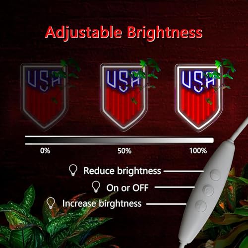 Image of AHlove USA Neon Sign for Wall Decor,LED Neon Lights for Game Room、Man Cave,Birthday、Christmas Gifts for Teen Boys and Girls
