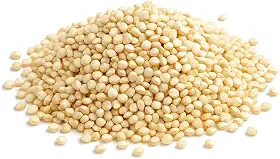Quinoa Branca em Grãos 250g Wenutri