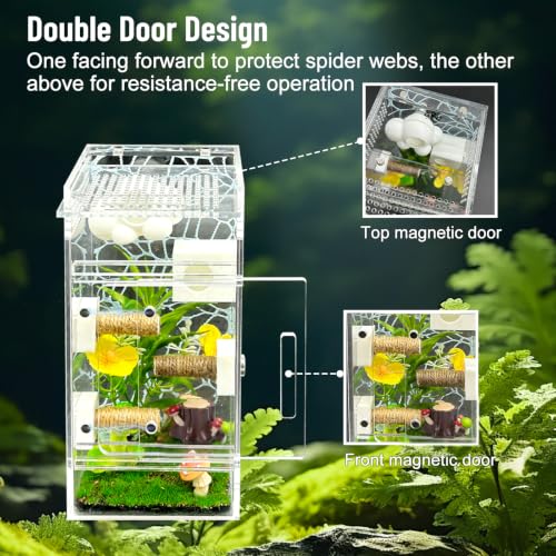 Image of Jumping Spider Enclosure,DIY Insects Habitat,Small Reptile Terrarium Glass House Accessories Set,with Jumping Platform Hide Climbing Net(Green 2)