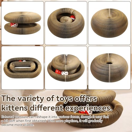 Affiuya Magic Organ Cat Scratcher Toy - 2PCS Set with Code 3RDFER8R - Image 5