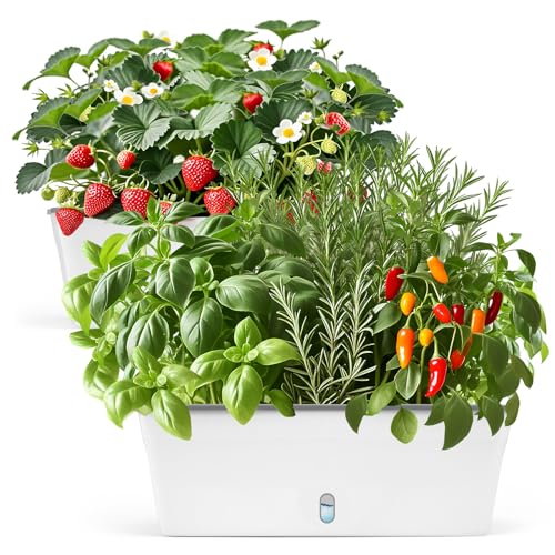 Self Watering Pots for Indoor Plants Outdoor, Rectangular Planter Window box 16.5 Inch 2 Pack, Water Level Window Prevents Overwatering for Herbs Strawberry Succulents Vegetable Basil Flower Garden