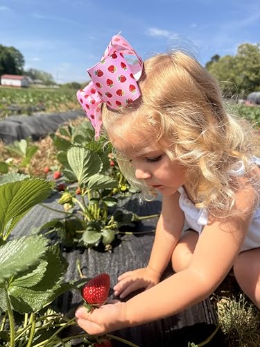 Wee Ones Girls’ Sweet Summer Treats Print Grosgrain Hair Bow, Medium or King, on WeeStay No-Slip Clip, King, Strawberry image 5