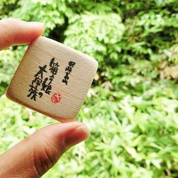 Amazon | 【おはなもあな】 パズル 箱入り娘 大家族 飛騨高山