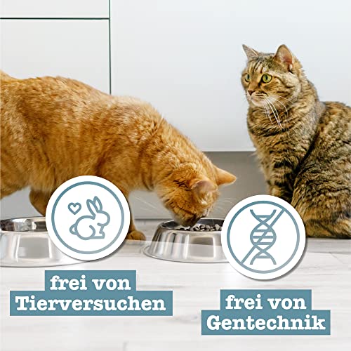catz finefood Meatz Katzen Leckerlies Känguru N° 13 - knusprige Streifen aus 100 Prozent Kängurufleisch - Katzensnack für Allergiker ohne Zucker, getreidefrei, 45g, Die Verpackung kann variieren.