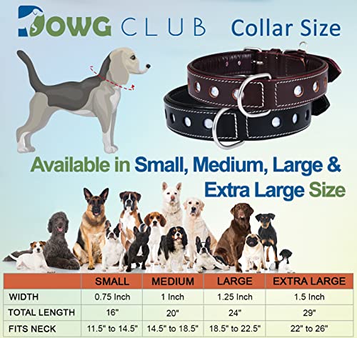 Image of Reflective Full-Grain Leather Dog Collar, Extra Large, Black | Double D Ring, Soft Nappa padding, Heavy Duty, Reflective Detailing, Adjustable Fit, Fit Neck Size 22 inch-26 inch