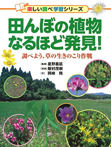 田んぼの植物なるほど発見! 調べよう、草の生きのこり作戦