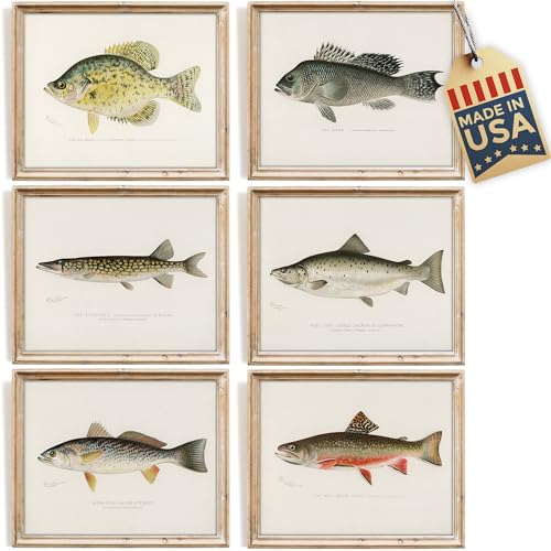 DREAM BIG PRINTABLES Vintage Fish Species Art...