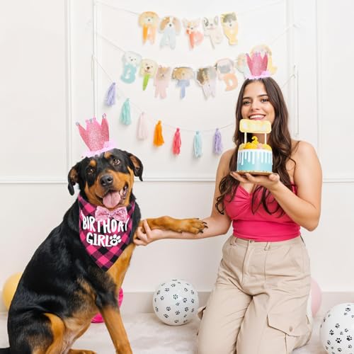 Wanmu Hunde Geburtstag Hut Bandana Set, Hund Geburtstag Hund Halstuch Hundegeburtstagskrawatte mit 9 Bling Nummern Hundegeburtstagsgeschenk für kleine mittlere große Hunde