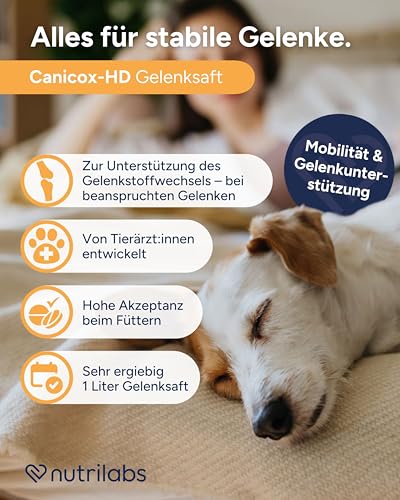 NutriLabs Canicox-HD Gelenksaft für Hunde 1L - mit MSM, Chondroitin, Hyaluronsäure, Glucosamin & Teufelskralle - Gesundheitsprodukte für Hunde - Nahrungsergänzungsmittel Hund
