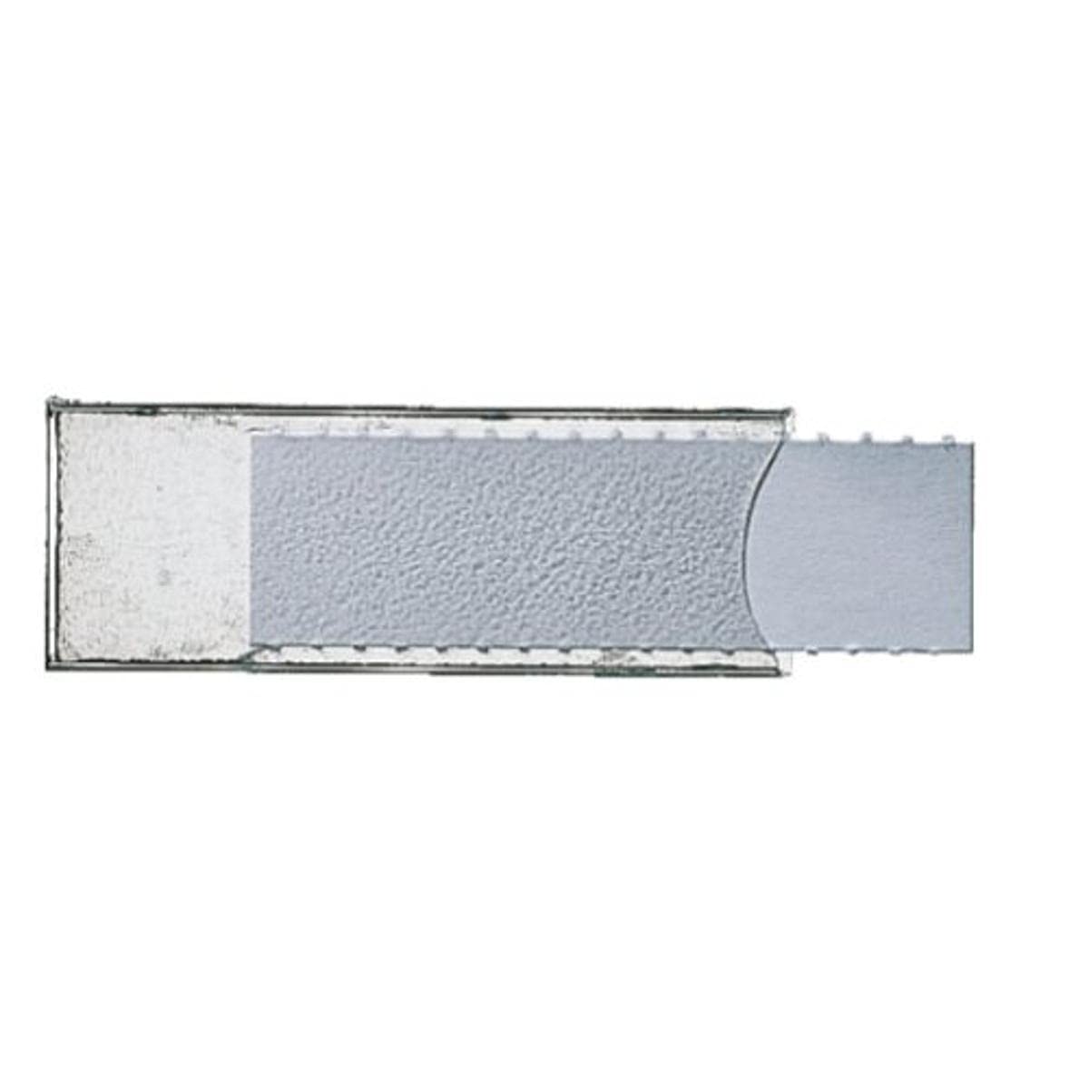 Esselte Leitz 60040001 Window Labels Self-Adhesive Transparent (Pack of 50)