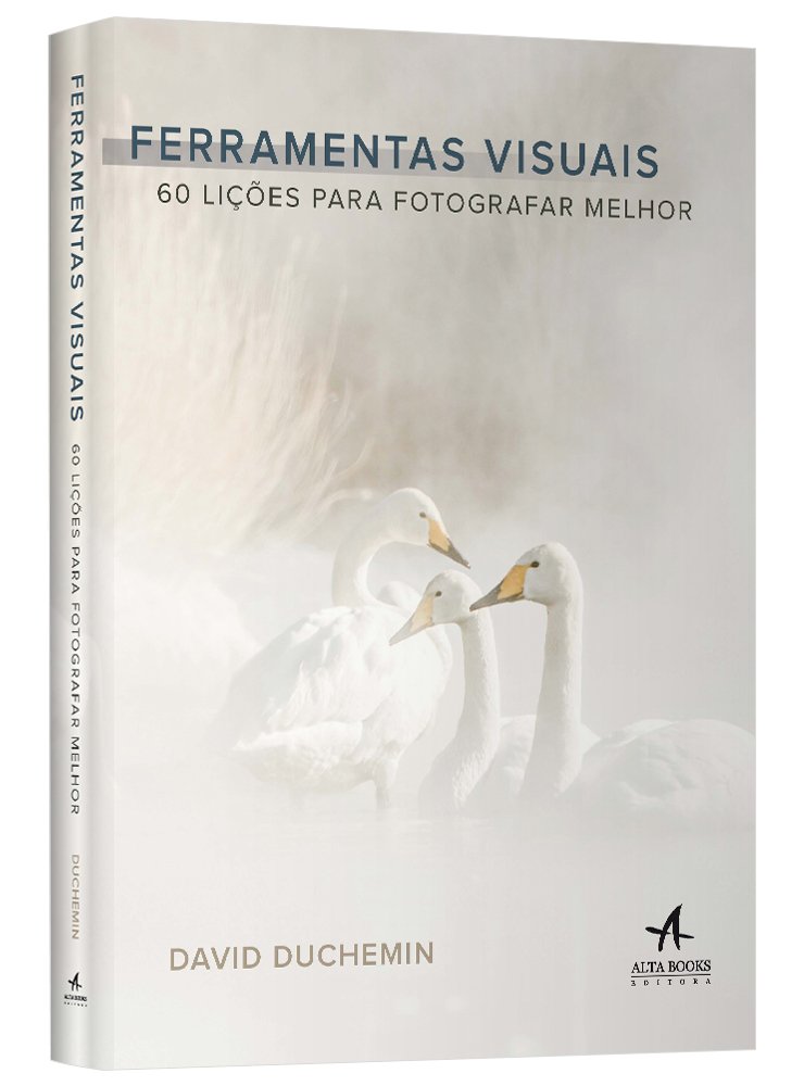 Ferramentas Visuais. 60 Lições Para Fotografar Melhor