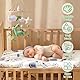 NIAWECAN Mobile Baby Windspiele, Mobile Babybett, mit Dinosaurier, Sterne, Wolken, Blätter aus Filz, Holz Hängende Baby Bettglocke, Geschenke für Baby Mädchen oder Jungen, Grüner