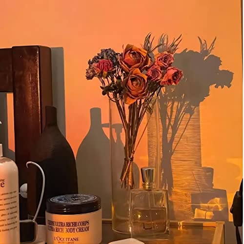 Image of JIMEI Sunset Lamp Projector - Led Lights for Bedroom, RGB Sunrise Lamp, 10w, 360 Rotation, Mood Lighting, Home /Room Decor, Gifts for Women, Desktop APP Control | APP Control,Sunrise Lamp , Mood Lighting, Gifts for Women