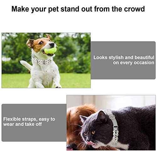 TEHAUX Coleiras de pérolas de cão e gato moda ajustável colar de couro para animais de estimação com