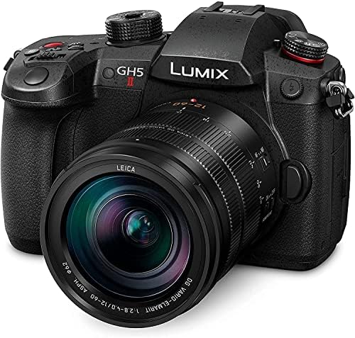 Panasonic LUMIX GH5M2, 20.3MP Mirrorless Micro Four Thirds Camera...