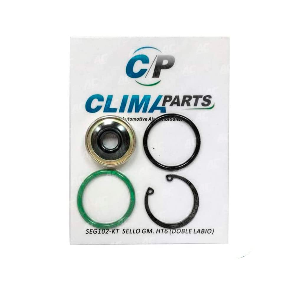 SEG102-KT AC A/C Compressor Shaft Seal Double Lip Seal GMC V5 HR6