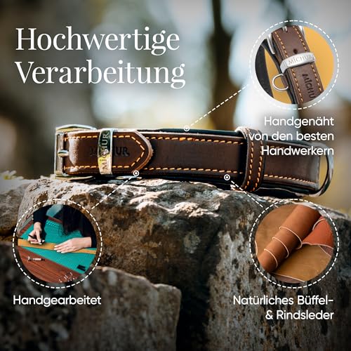 Michur Minimo Hundehalsband Leder, Lederhalsband Hund, Halsband, Braun, Leder, in verschiedenen Größen erhältlich