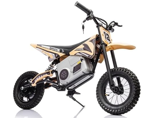 Moto da motocross elettrica LE-A9901, colore cachi, 36 V e