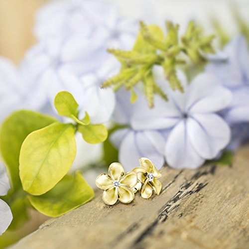 Honolulu Jewelry Company 14K Yellow Gold Plated Sterling Silver Plumeria Flower Nature Stud Earrings with CZ, 12mm4