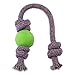 Beco Rubber Ball on Rope Dog Toy, Green, Large