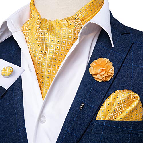 Image of DiBanGu Mens Silk Ascot Ties Paisley Jacquard Woven Cravat and Pocket Square Cufflinks with Lapel Pin for Business Wedding