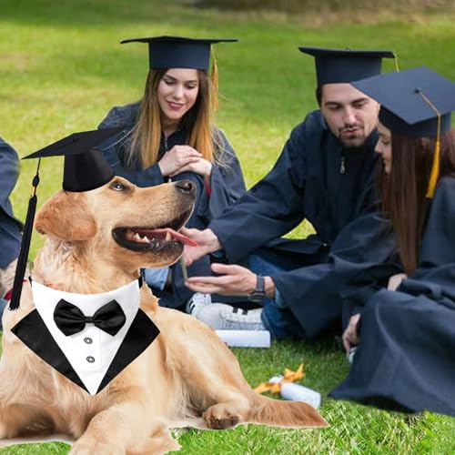 Disfraz de Graduación para Perro con Gorro y Pajarita Mediano miniatura 7