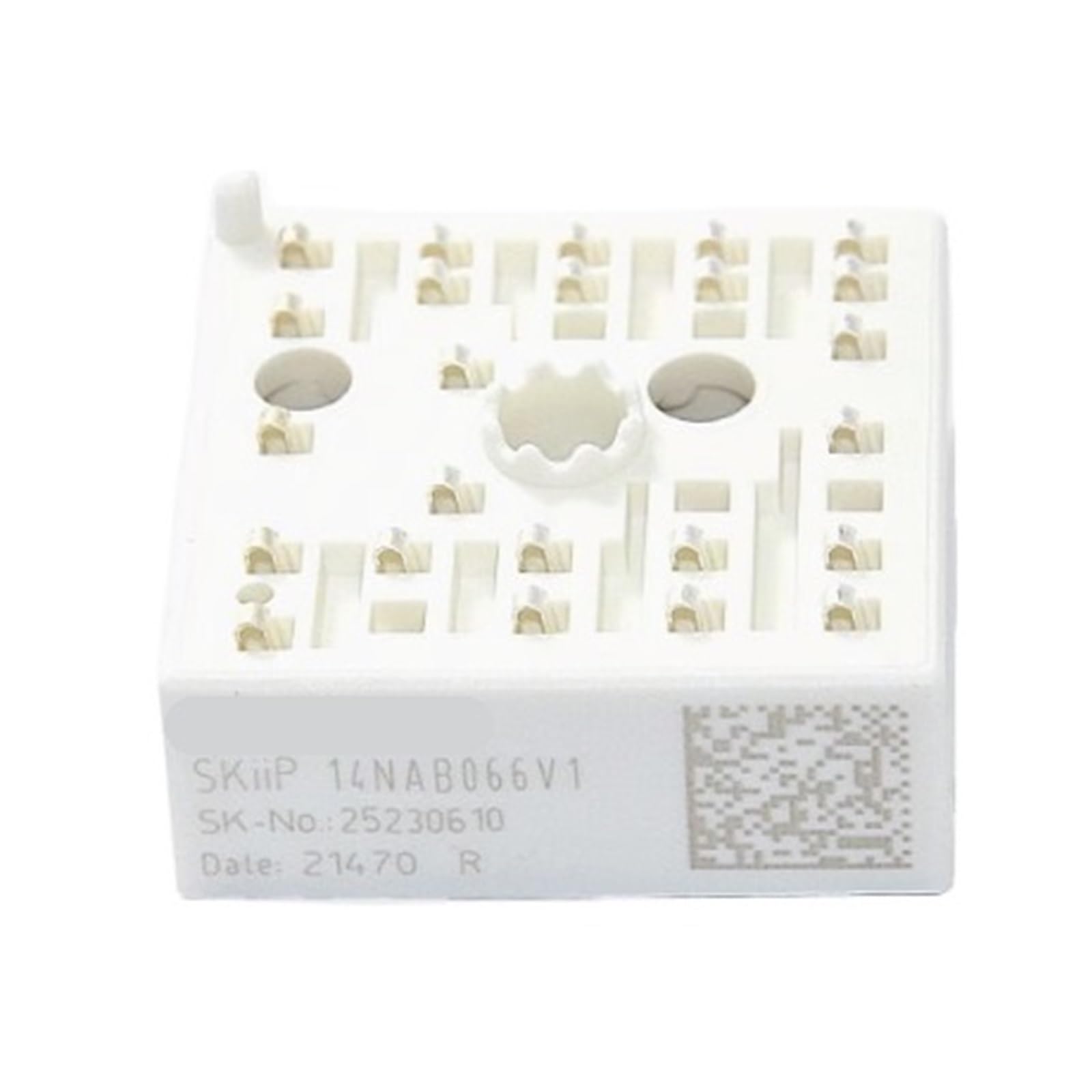LZIKKGKI SKIIP14NAB065V1 SKIIP14NAB066V1 SKIIP14AC065V1 SKIIP12NAB065V1 SKIIP13NAB065V1 SKIIP11NAB066V1 Power Module(SKIIP14AC065V1)
