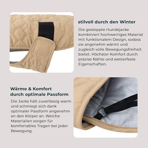 Wanderpfote Hundemantel – Steppjacke Hundejacke Stilvoll und Elegant – Hundemantel Wasserdicht – optimal für kleine und mittelgroße Hunde (Beige, S)