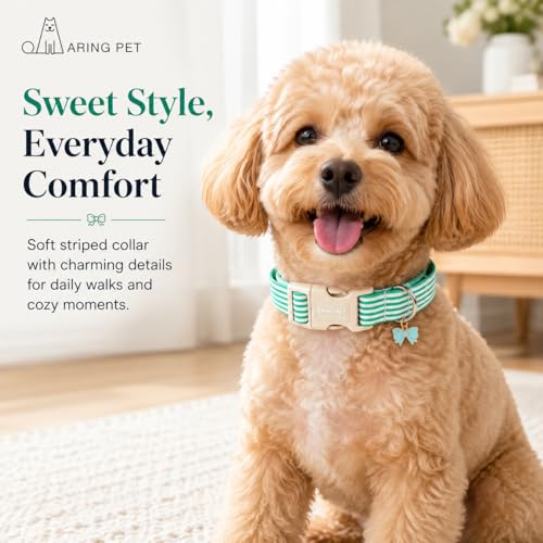 Image of ARING PET Teal Striped Dog Collar for Small Medium Large Boy Girl Dogs-XS | Cotton Fall Winter Puppy Pet Collar for XS S M L XL Dogs, Soft Sturdy Comfortable, Daily Wear Park Play Neighborhood Stroll