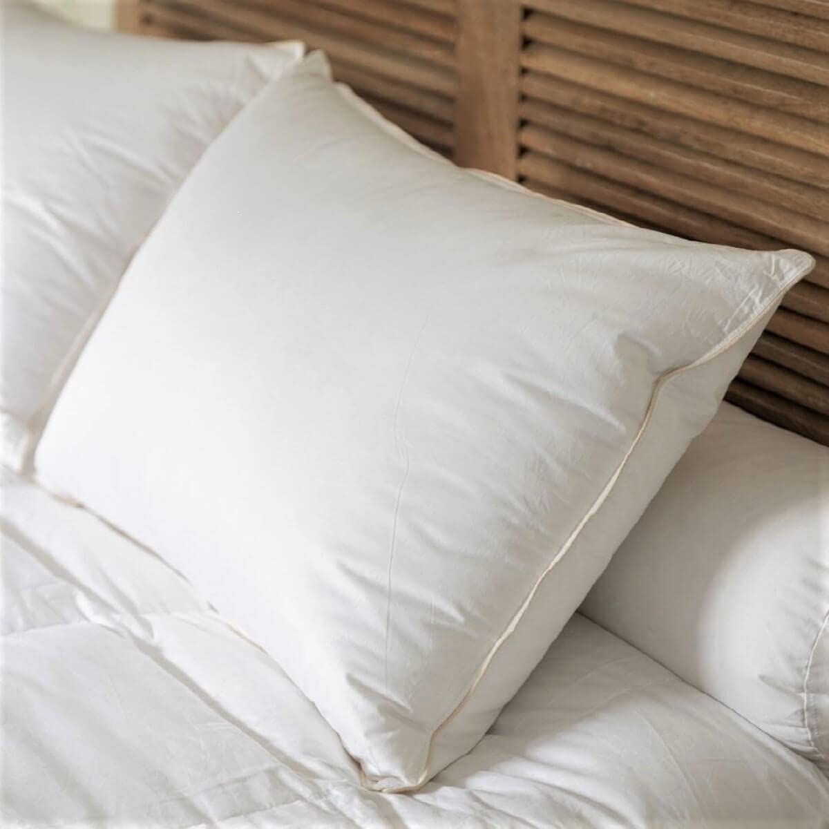 Oreiller moelleux CASTEX 50x70 | Lit duvet naturel enveloppe coton bio anti-transpiration
